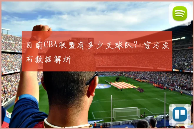 目前CBA联盟有多少支球队？官方发布数据解析